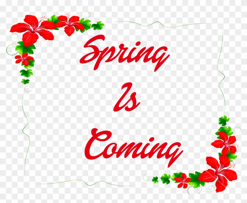 White Background Flowers Border Clipart #5396311