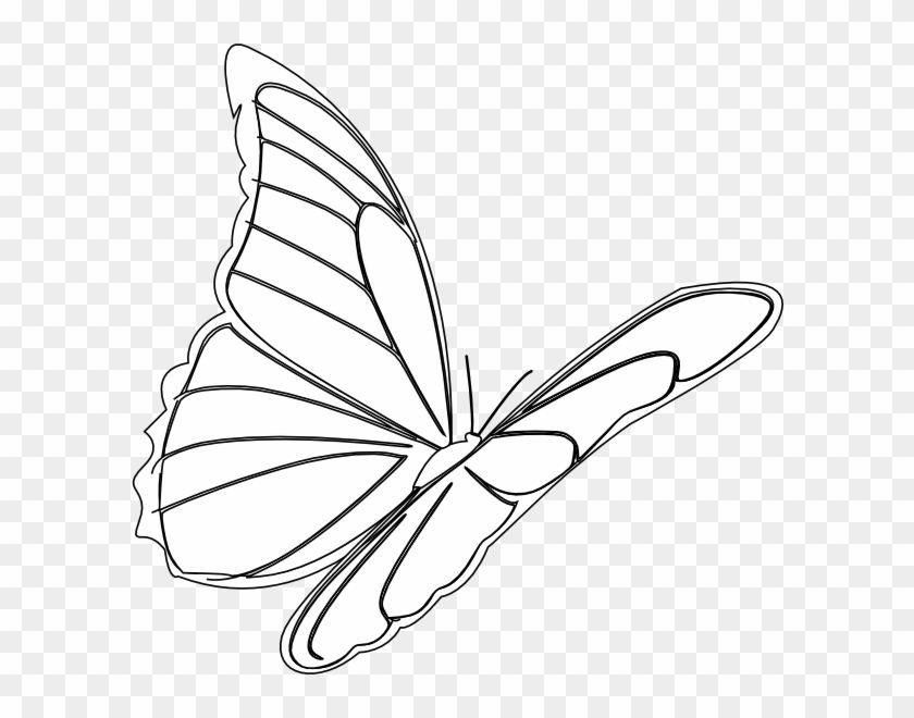 How To Set Use Butterfly Flying Svg Vector - Vẽ Đàn Bướm Bay Clipart