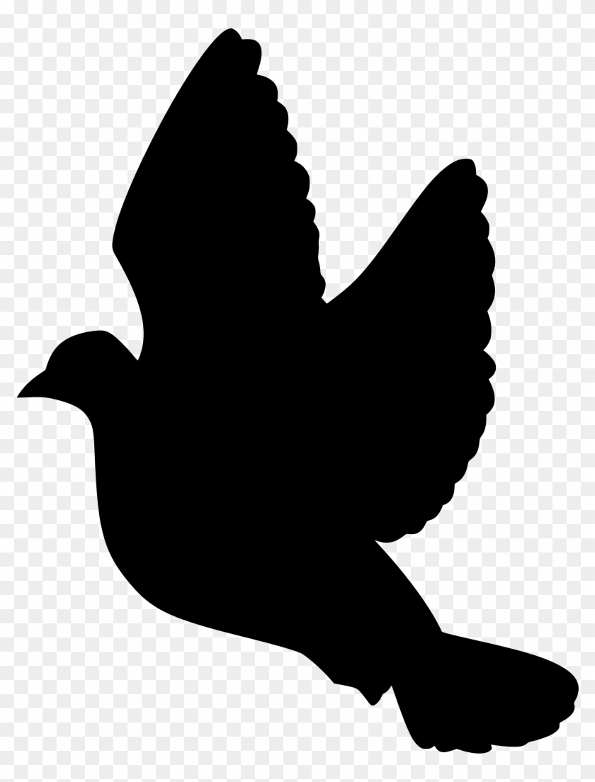 Download Png - Stock Dove Clipart #5397551