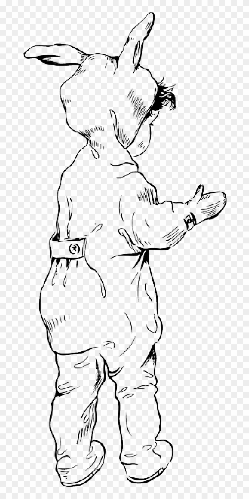 Rabbit , Png Download - Rabbit Clipart #5397745