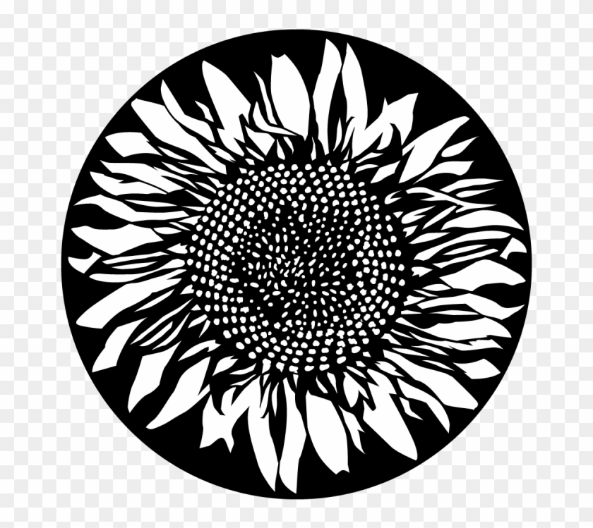 More Views - Sunflower - Sunflower Gobo Clipart #5399339