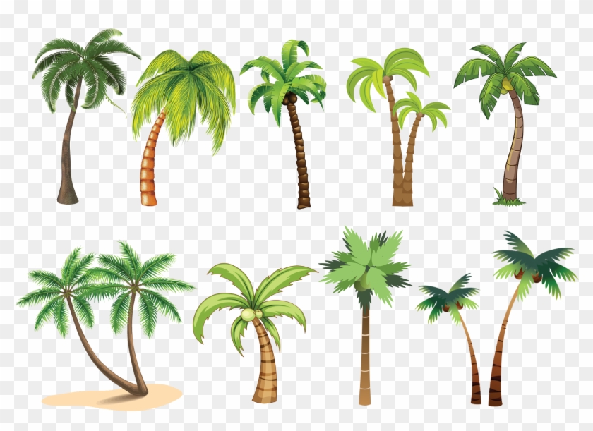 Palm Tree Clip Art , Png Download - Palm Tree Clip Art Transparent Png #5399598