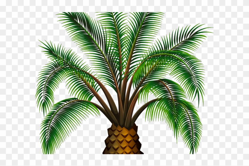 Date Palm Clipart Palm Oil Tree - Gambar Pohon Kurma Kartun - Png Download #5399755