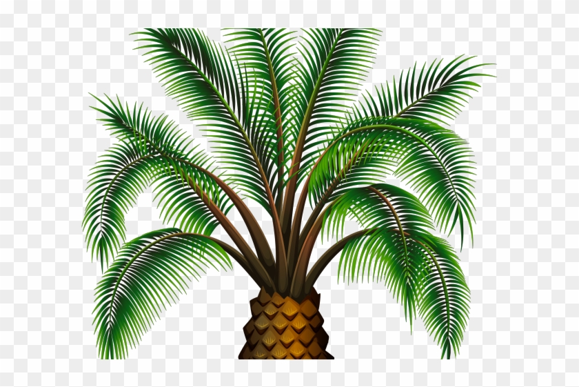 Date Palm Clipart Palm Oil Tree - Gambar Pohon Kurma Kartun - Png Download