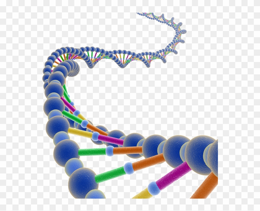 Dna - Dna Png Transparent Clipart #540224