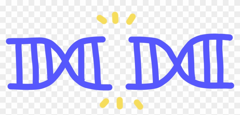 Double-strand Break - Dsb Double Strand Break Clipart