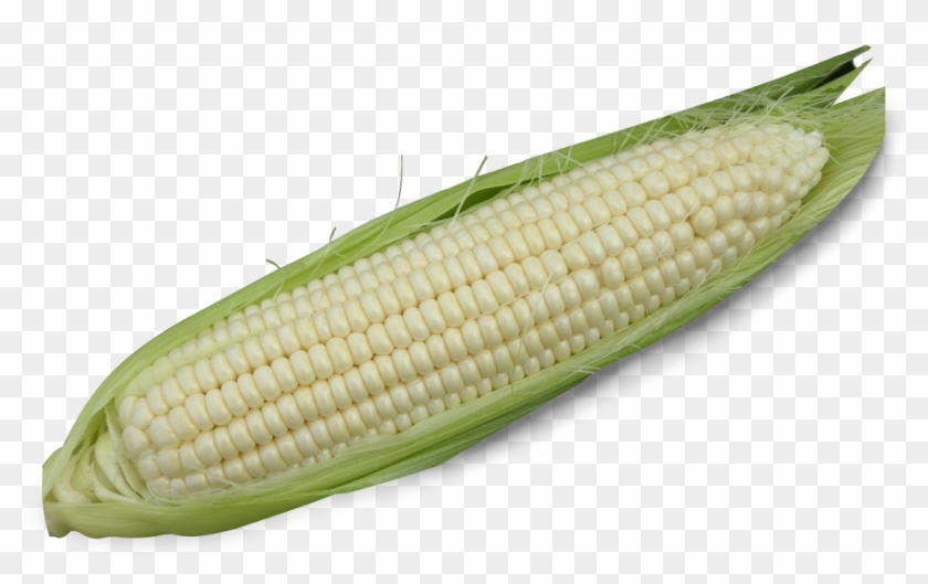 Home / Product Information - Corn On The Cob Clipart #540354