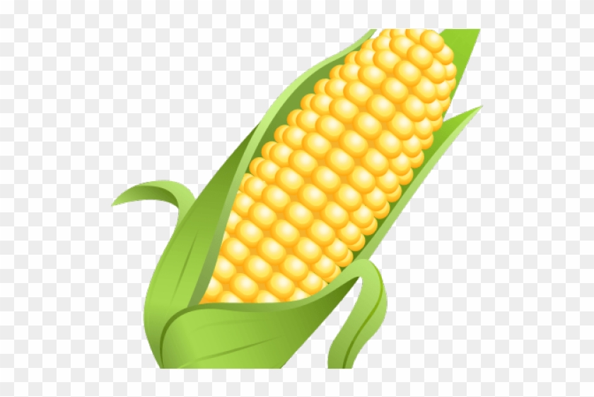 Corn Png Transparent Images - الشيخ راشد بن حميد النعيمي Clipart #540684