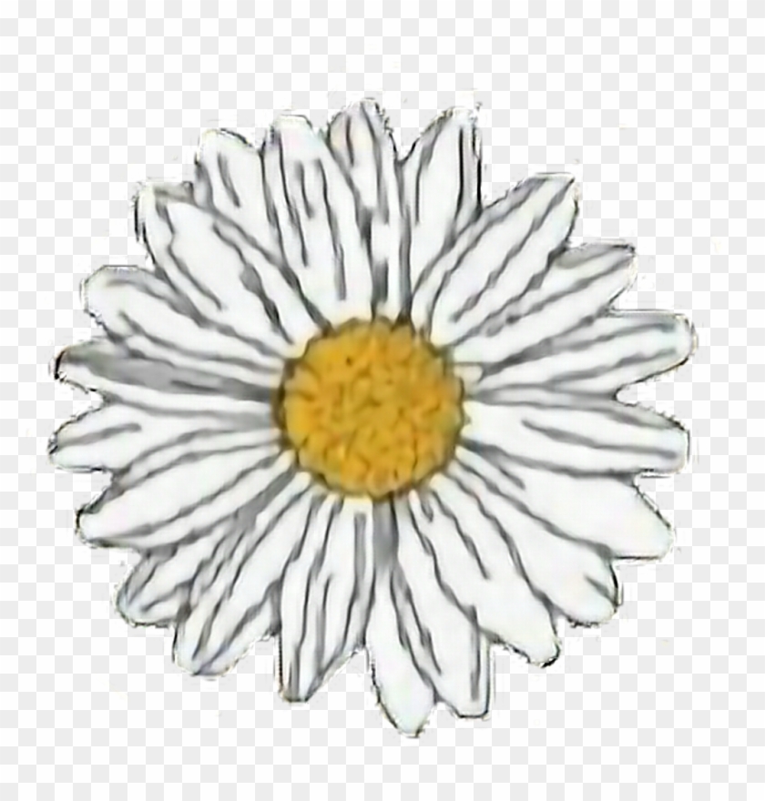 Flower Sticker - Transparent Daisy Stickers Clipart