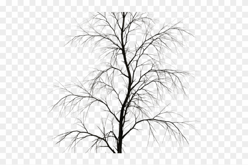 Dead Tree Clipart Noose Silhouette - Dark Tree Png Transparent Png #540912