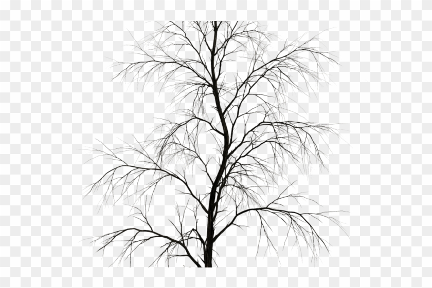 Dead Tree Clipart Noose Silhouette - Dark Tree Png Transparent Png