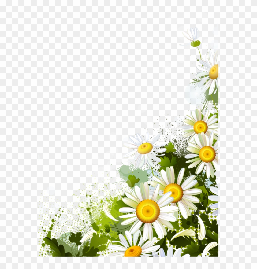Daisies Corner Png Clipart #541682