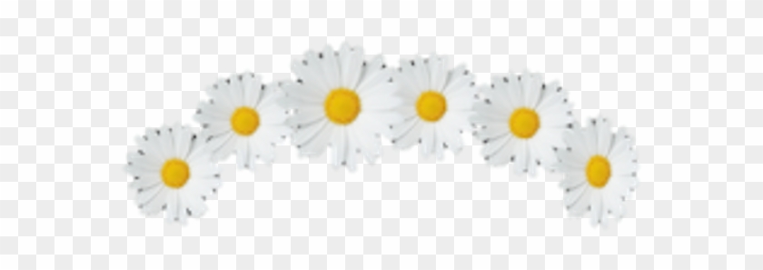 Tumblr Sticker By Daniela - Caterpillar Clipart #542293