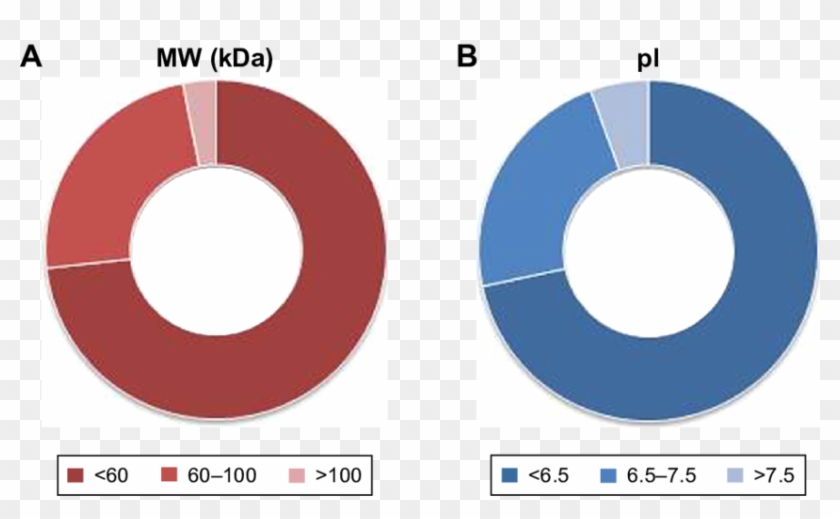 Clusterization Of Proteins In The Corona - Circle Clipart