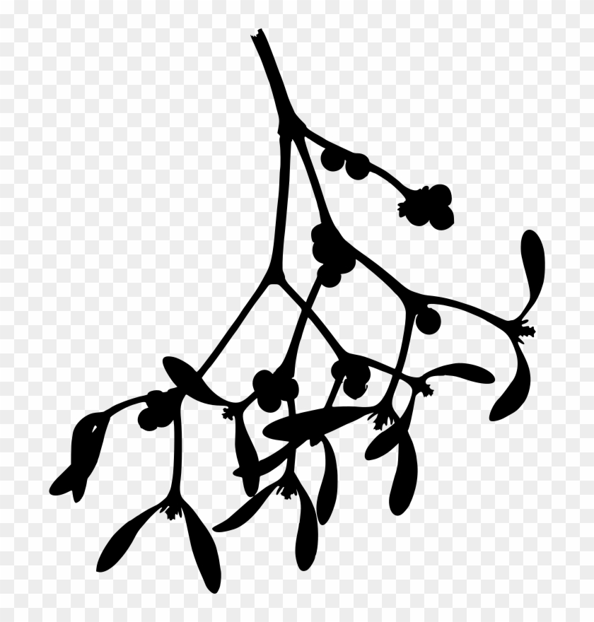 Svg Royalty Free Silhouette Medium Image Png Mistletoe Silhouette Clipart 542959 Pikpng