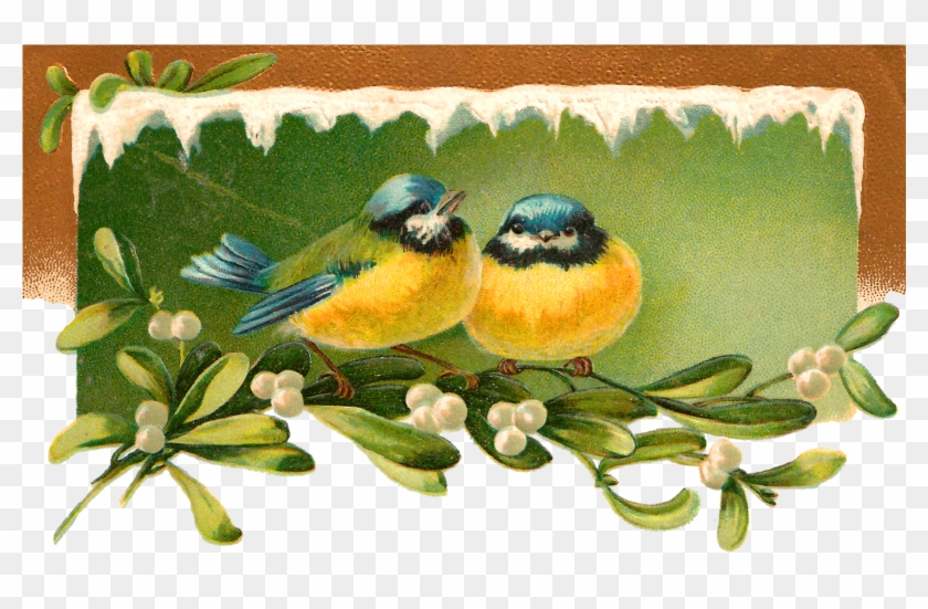 Printable Christmas Mistletoe Download Image - Christmas Day Clipart