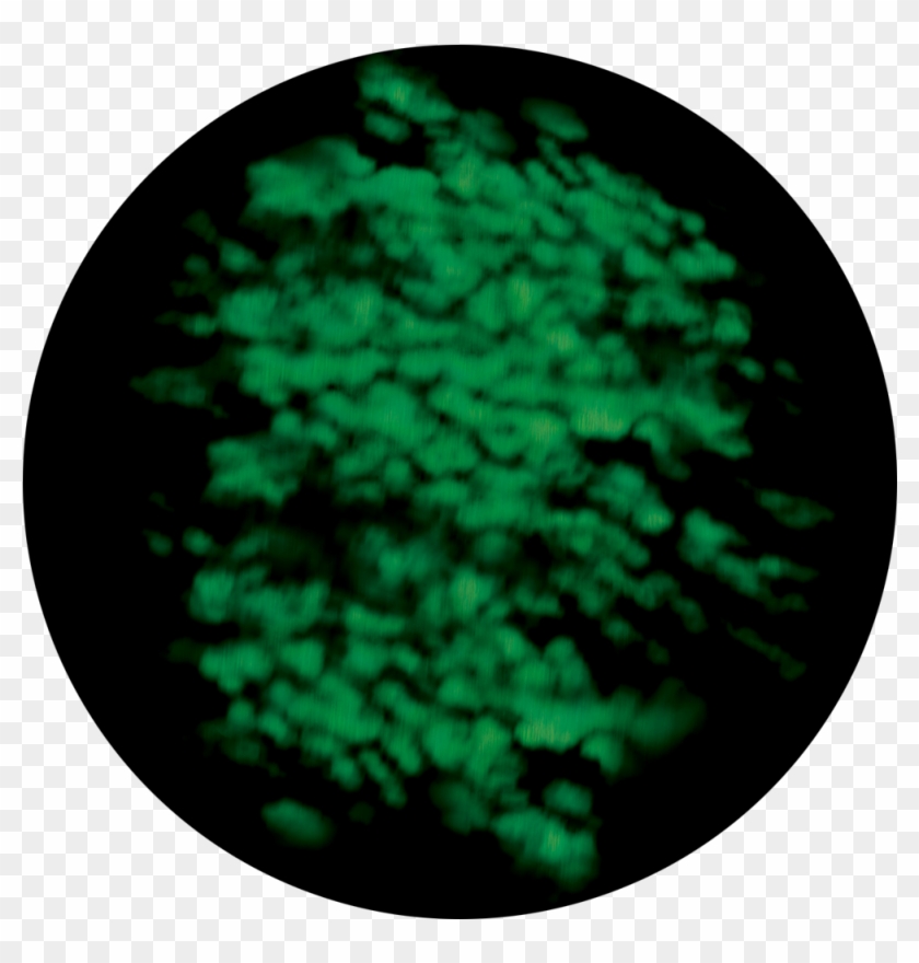 Glass , Png Download - Circle Clipart