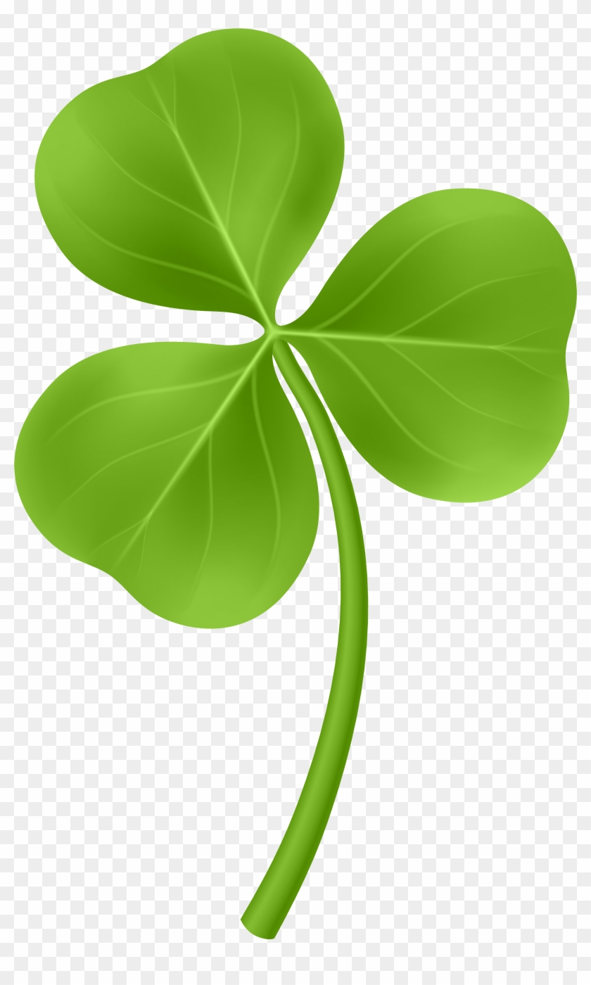 Shamrock Png Clip Art Image - Shamrock Png Transparent Png #546231
