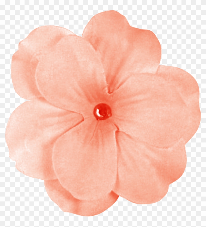 Peach-flower , 449k Clipart