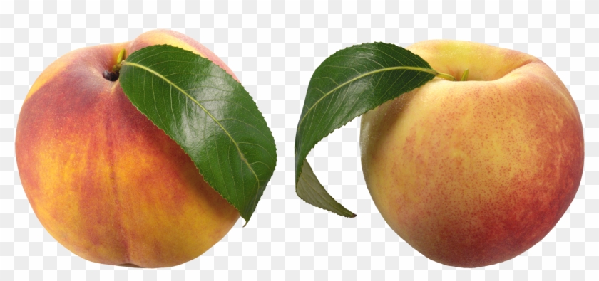 Png Free Library Peaches Clipart Frame - Peach Transparent Png #548942