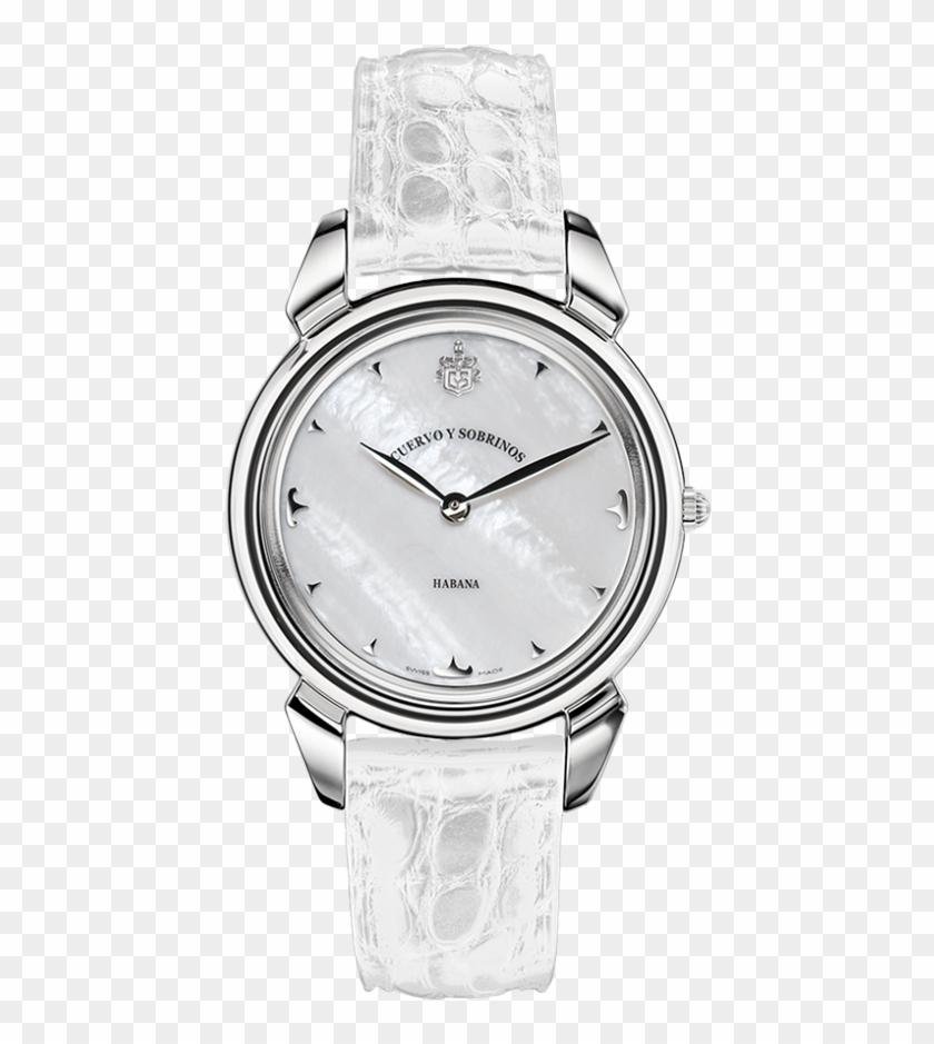 Cuervo Y Sobrinos Lady - Cuervo Y Sobrino Ladies Clipart