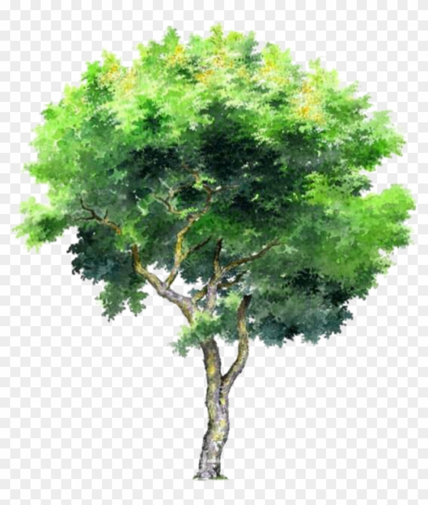 Tree Trees Leafs Greentree Green Ftestickers - Tree Png Clipart #5401250