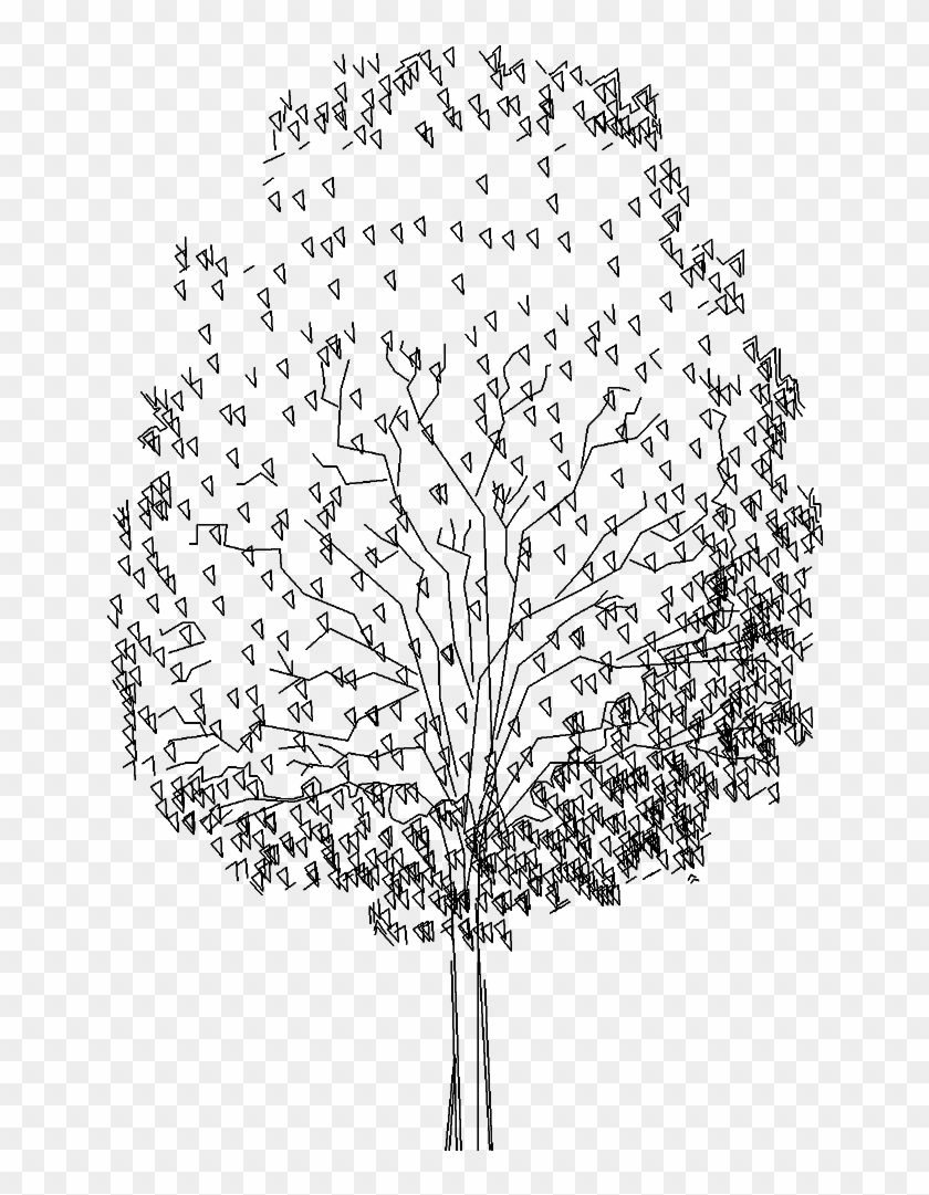Tree - Drawing Clipart