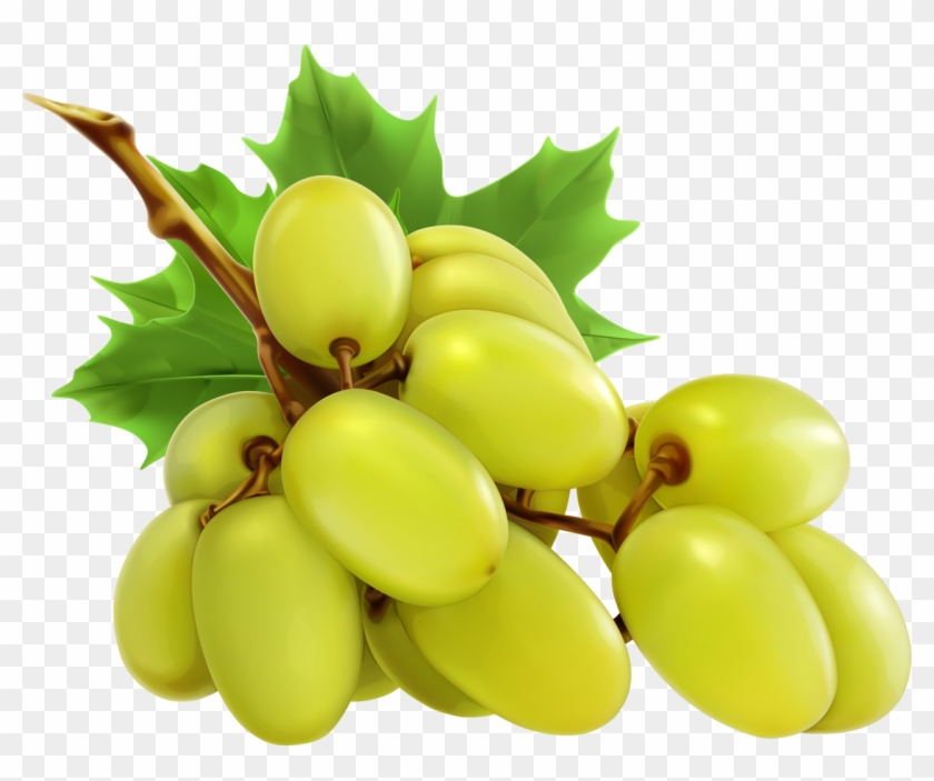Grapes - Green Grapes Clipart - Png Download #5402515