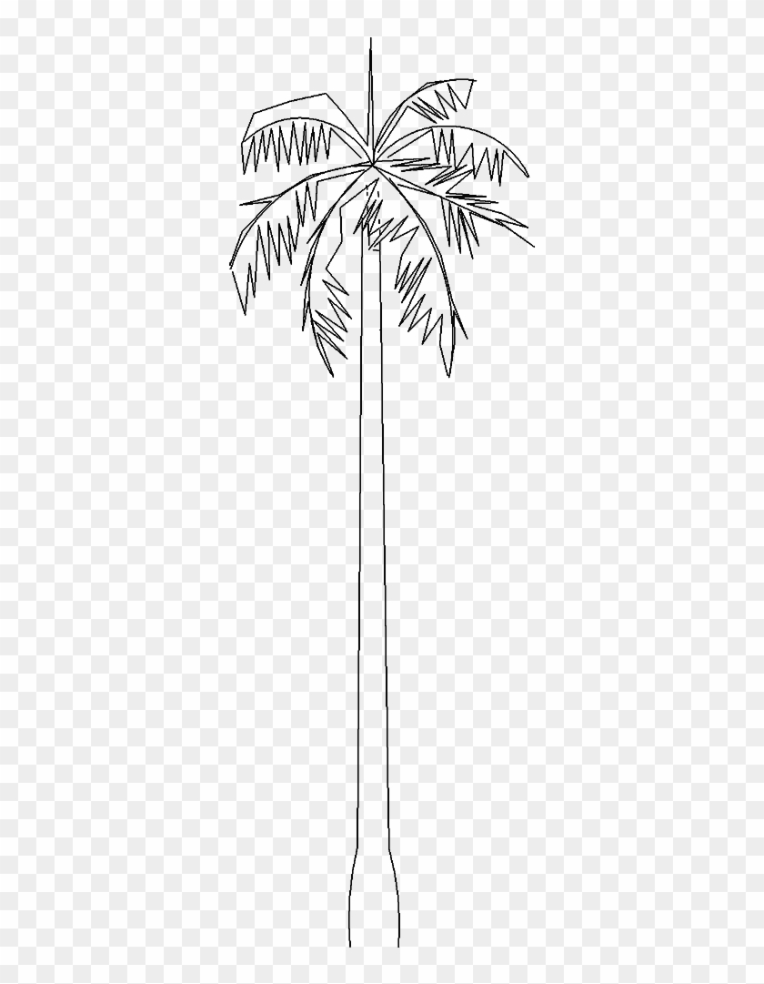 Tree - Desert Palm Clipart #5403637