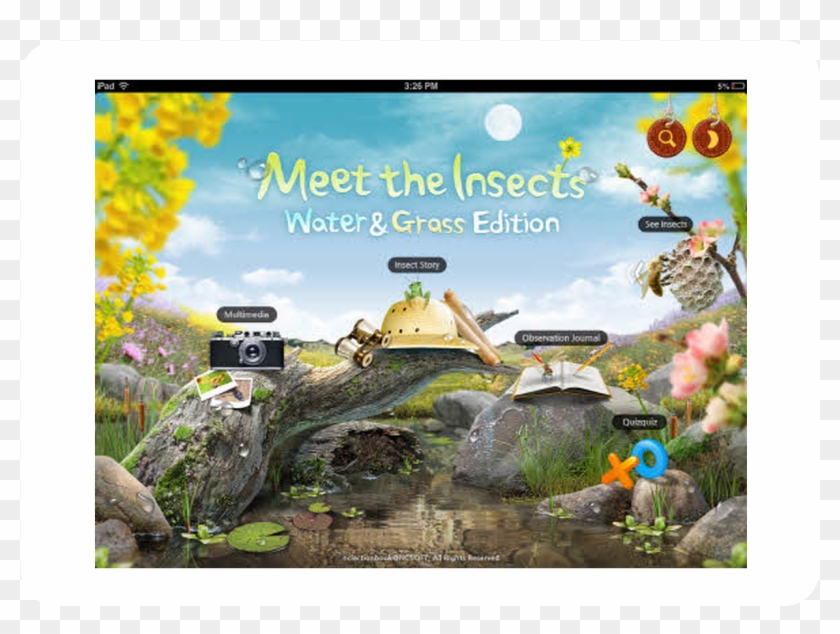 Meet The Insects - Wonders Of The World Clipart