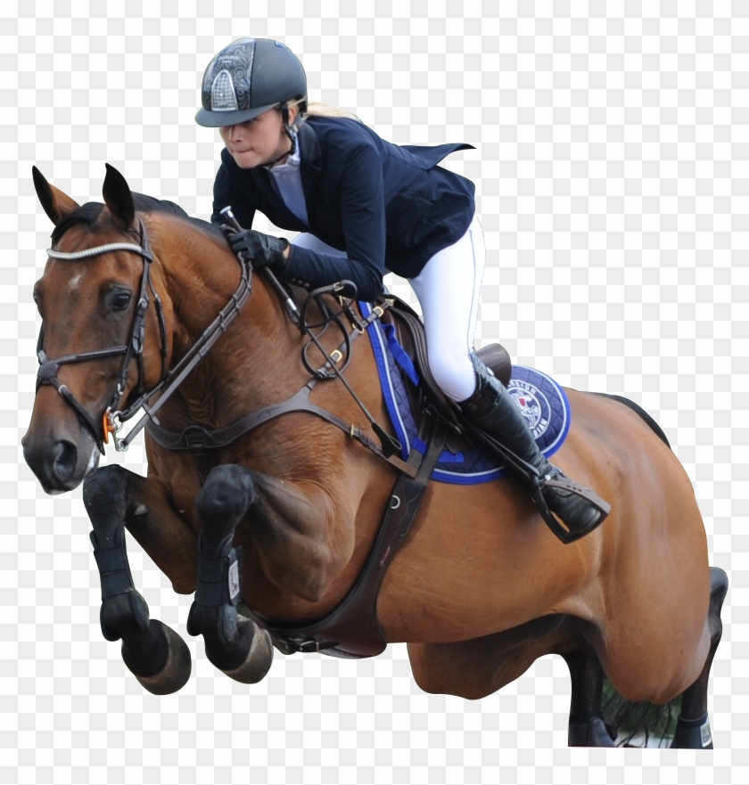 Image Is Not Available - Equestrian Png Clipart