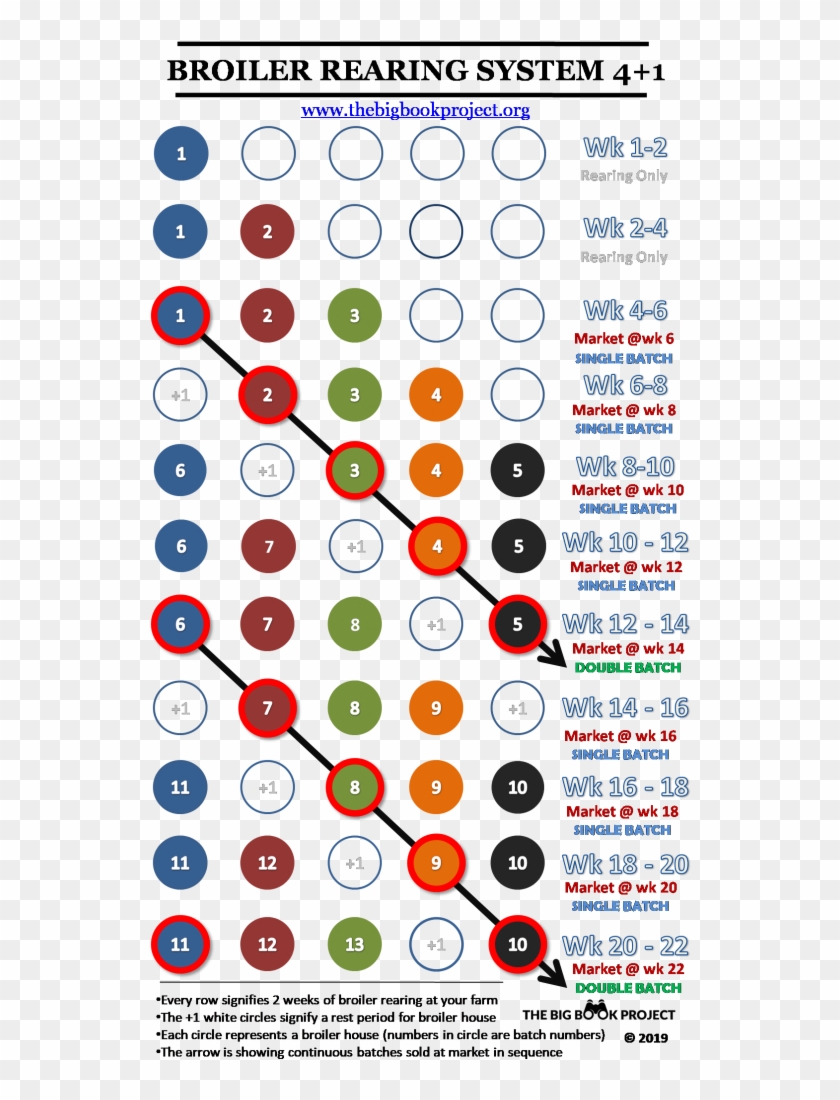 4 1 Broiler Rearing System - Circle Clipart #5405322
