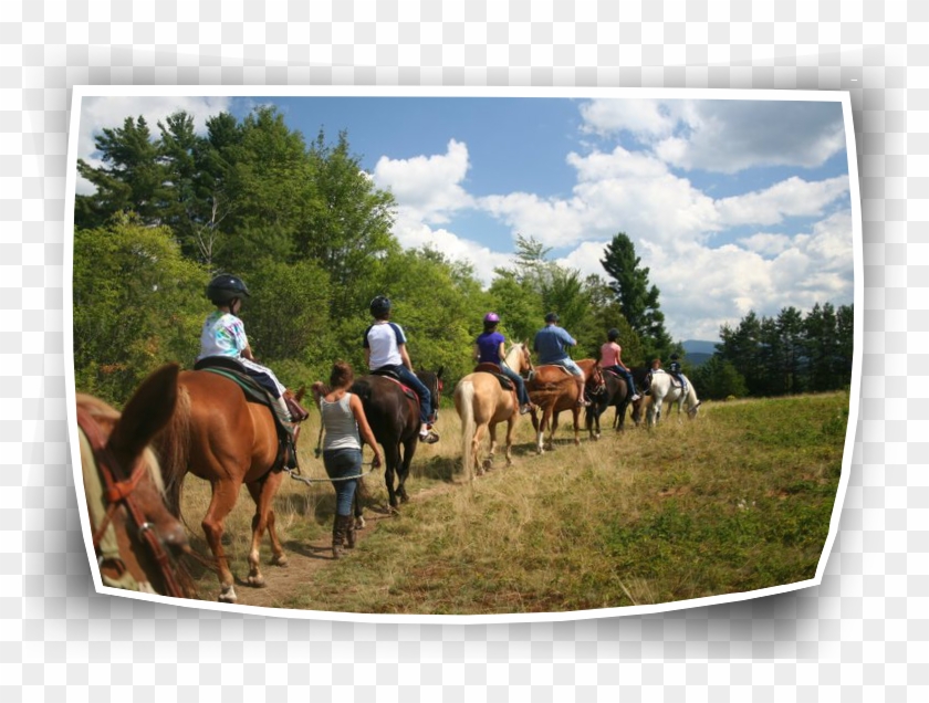 Check Out Horseback Riding In Saranac Lake, Ny A Perfect - Stallion Clipart #5405757