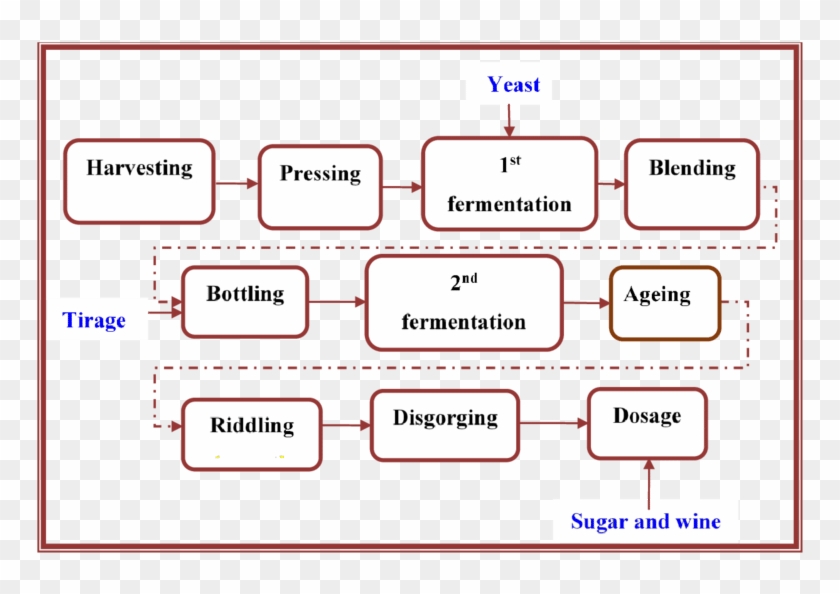 A Flow Diagram Of The Stages Of The Sparkling Winemaking - Wine Making Process Flow Diagram Clipart #5406462