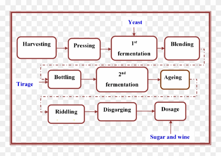 Download A Flow Diagram Of The Stages Of The Sparkling Winemaking