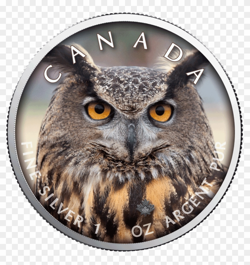 Canadian Gold Maple Leaf - Buhos Elfos Del Desierto De Sonora Clipart