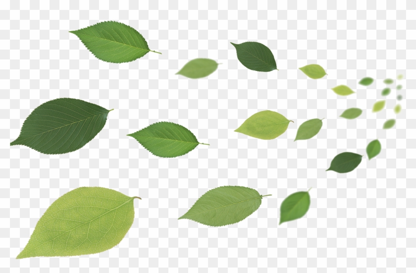 Leaf Flying Transprent Png Free - Leaves In Wind Clipart #5407081