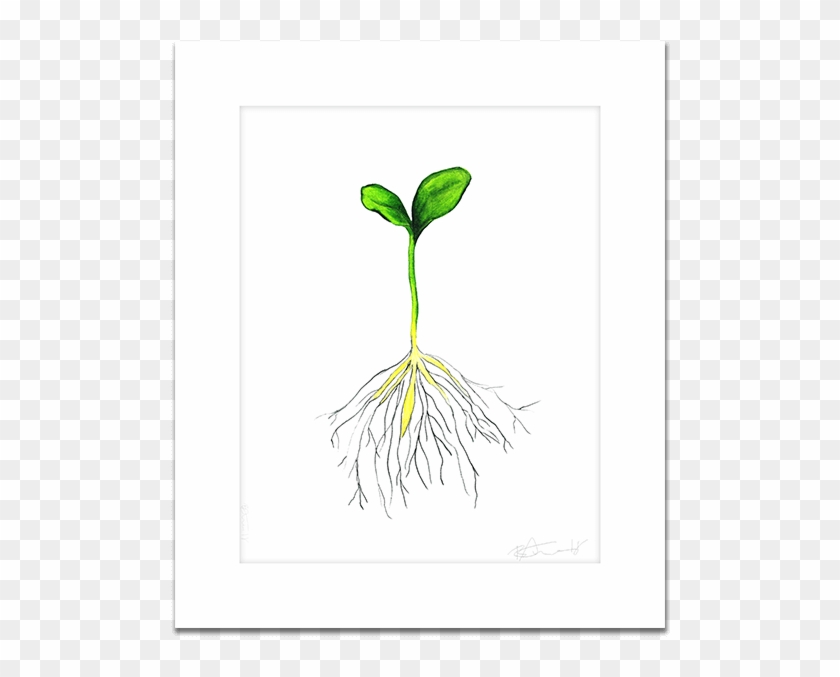 Hand Drawn Sprout - Sketch Clipart