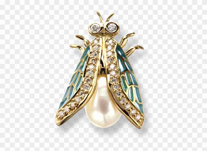 Stock - Membrane-winged Insect Clipart #5407295