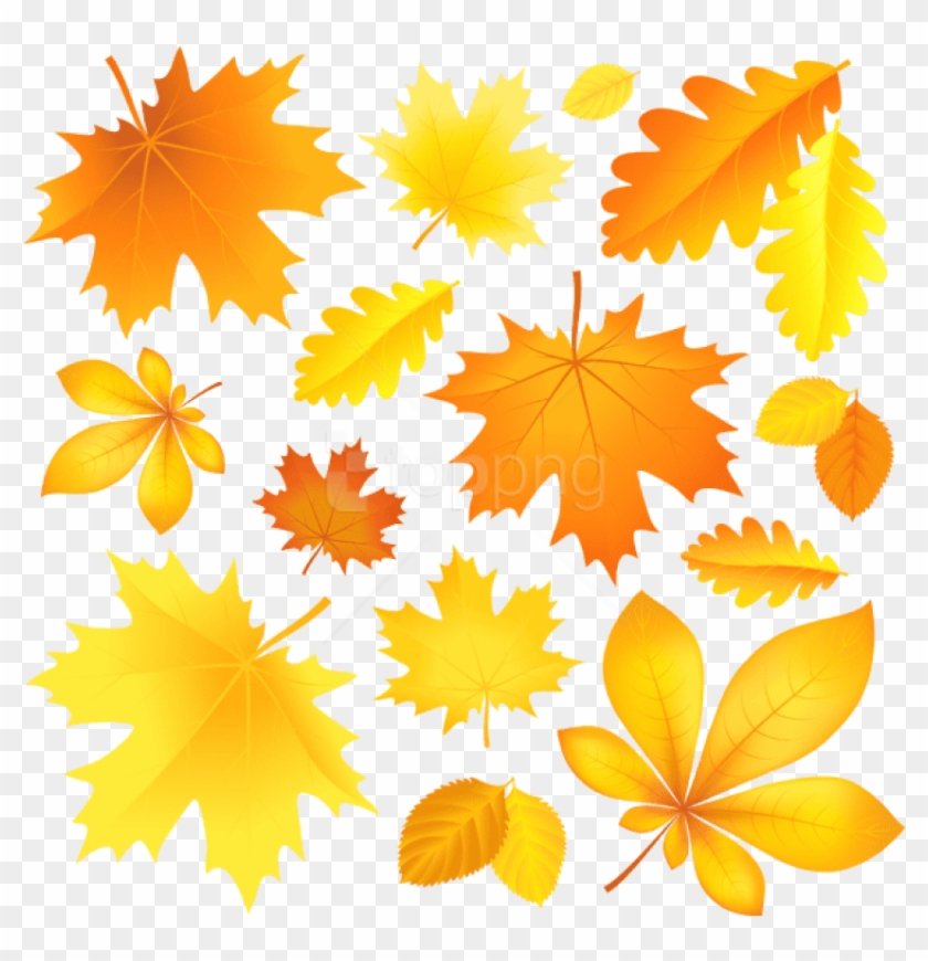 Download Transparent Fall Leaves Picture Clipart Png - Cartoon Image Of Autumn Leaves@pikpng.com