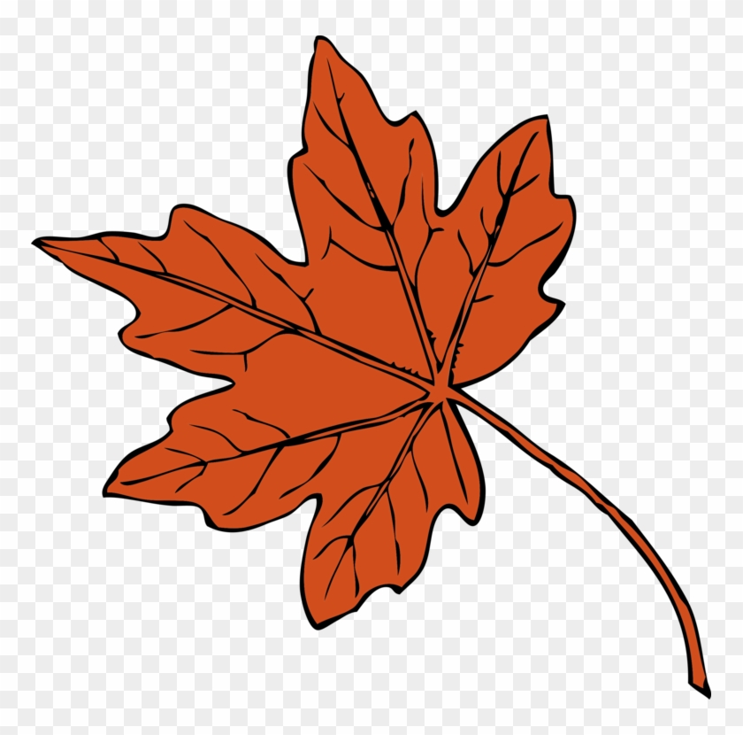 Fall Drawing Autumn Leaves - Maple Leaf Clipart - Png Download #5408163