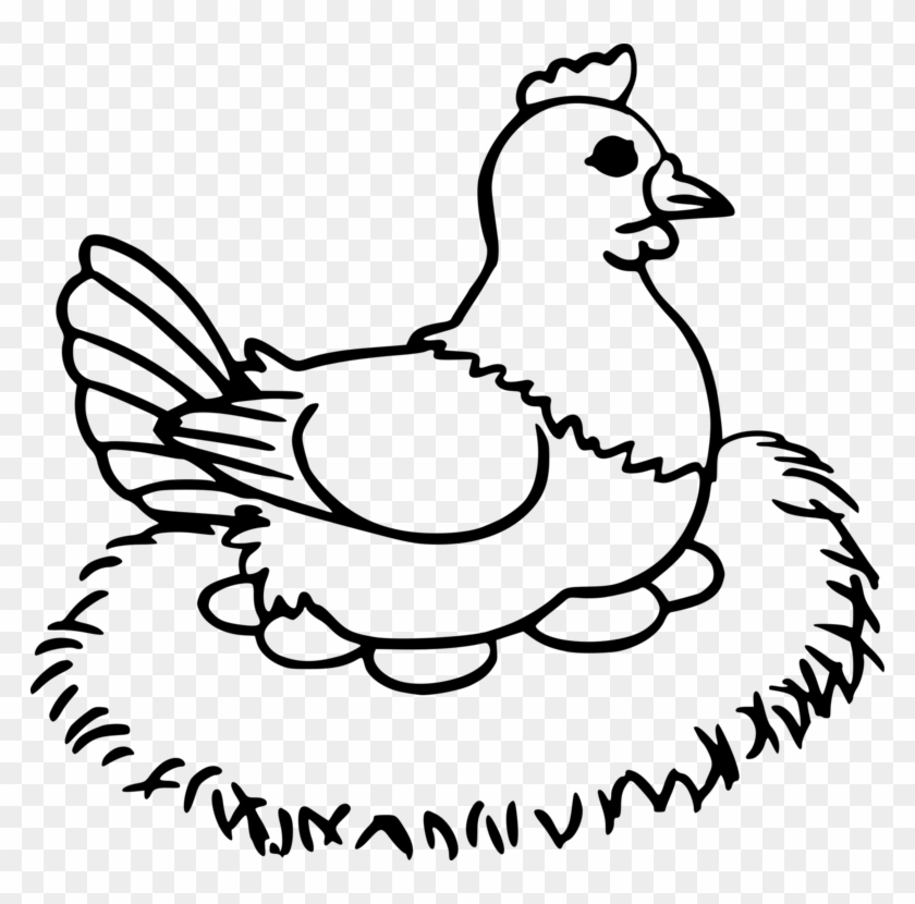 Chicken Coloring Books Duck Chicken Coloring Book Rooster - Hen With Egg Drawing Clipart