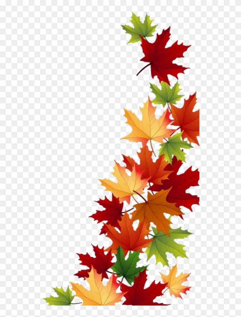 #freetordit #summer #daun #clipart #edit - Вітаємо З Початком Навчального Року - Png Download