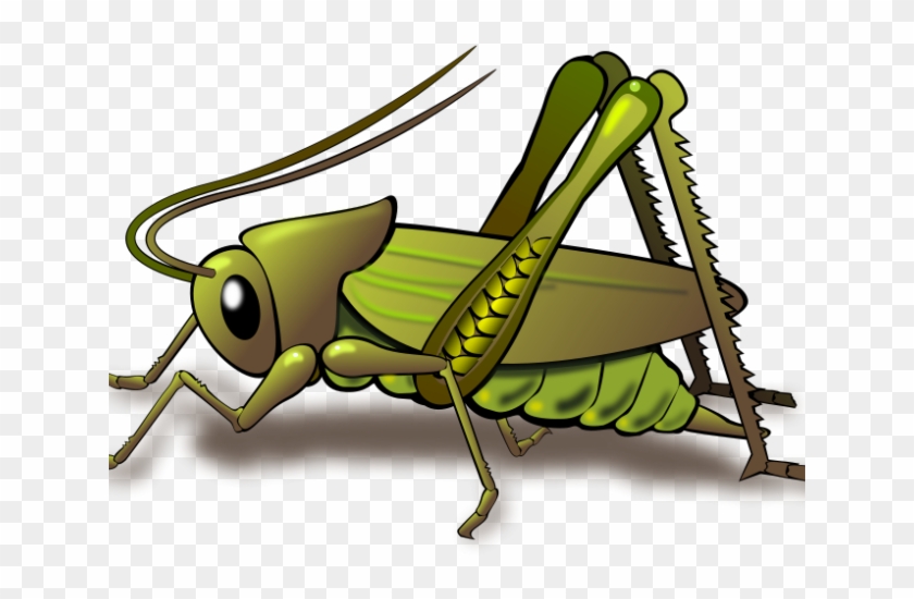 Cricket Clipart Kuliglig - Clip Art Cricket Bug - Png Download
