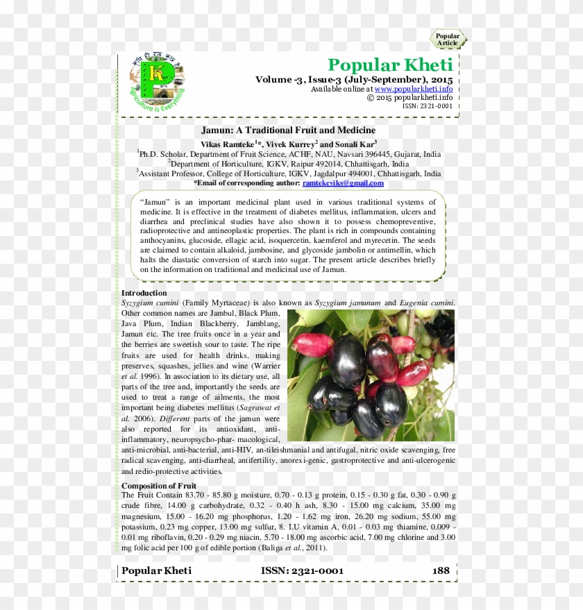 Pdf - Jamun Tree Information In English Clipart #5408910