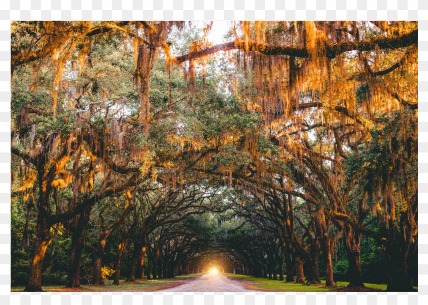 Autumn Sad Pics With Quotes Clipart