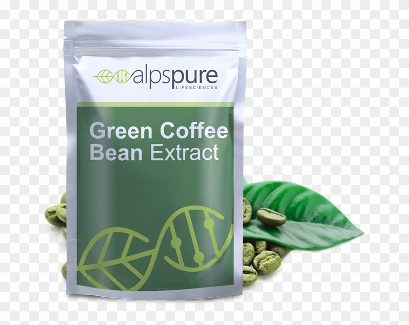 Your Outsource Partner - Aloe Clipart