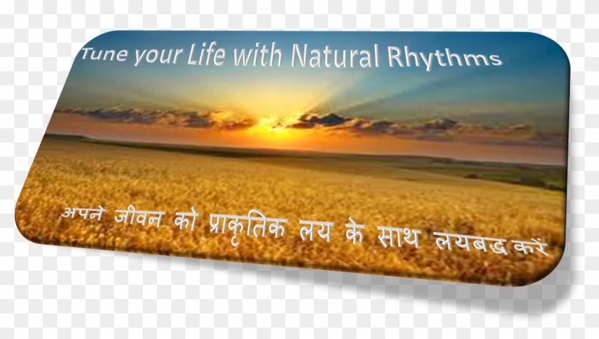 Image For Raghunandan Kumawat's Linkedin Activity Called - Poster Clipart