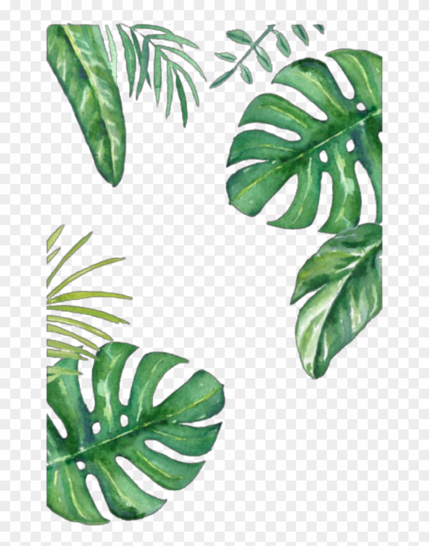 #leafs #leaf #green #greenleafs #frame #wallpaper #background - Leaf Clipart