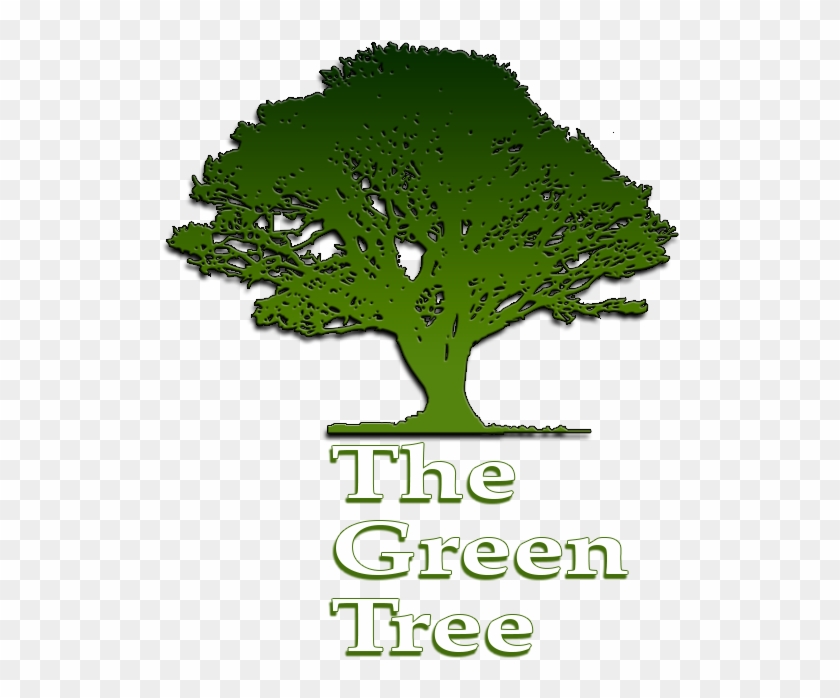 What A Great Experience - Green Tree Clipart